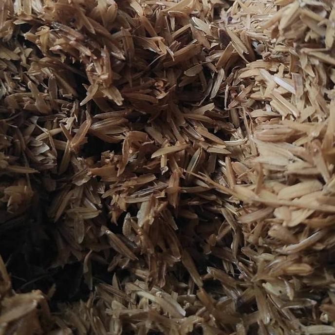 

Terlaris Sekam Padi Yang Sudah Difermentasi Berat 1Kg