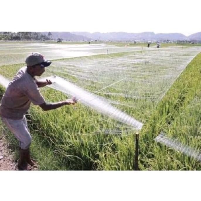 

Terlaris Jaring Burung Emprit/Jaring Sawah/Jaring Padi Ukuran 7X90 Meter