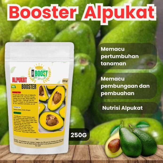 

Terlaris Pupuk Booster Alpukat 250 Gr - Pupuk Organik Perangsang Buah Alpukat Dengan Kandungan Multimikroba Dan Nutrisi Haranya