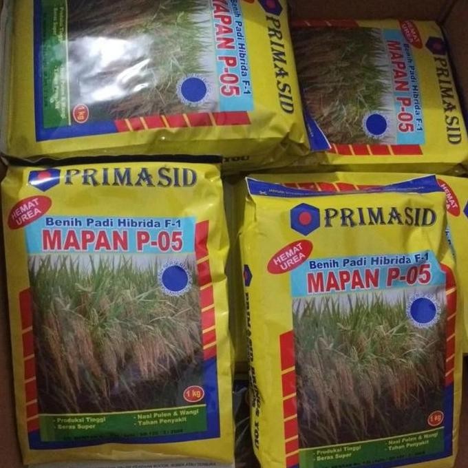 

Terlaris Benih Padi Hibrida Mapan P 05 1 Kg Kemasan Asli Pabrik