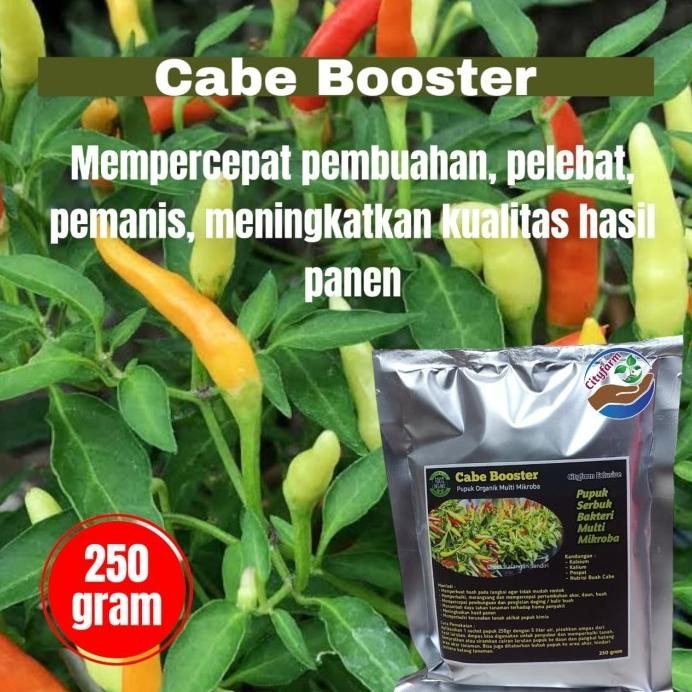 

Terlaris Pupuk Organik Booster Cabe Kualitas Super Pelebat Buah Cabe 250Gr