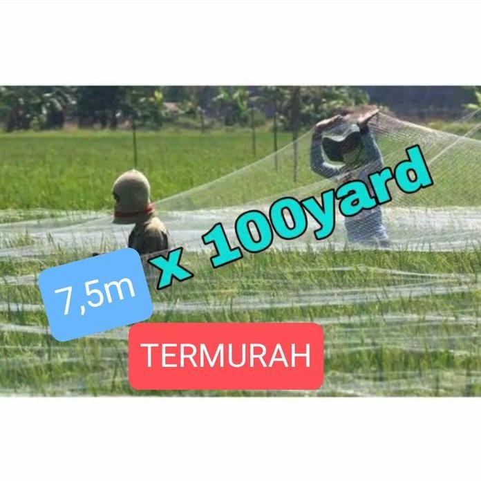 

Terlaris Jaring Burung Sawah Lebar 7,5M Panjang 100Yds Jaring Burung Padi