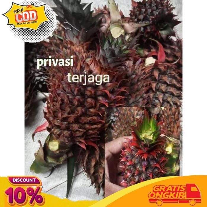 

Flash Sale Nanas Muda Segar Dan Fres