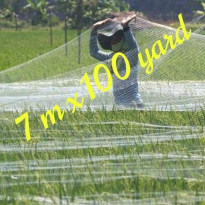 

Terlaris Jaring Burung 0,15 X 3Inch 100/100, Jaring Pelindung Padi, Jaring Senar
