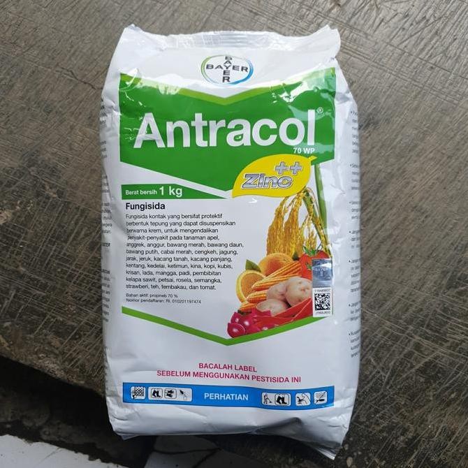 Antracol 70 wp 1 kg