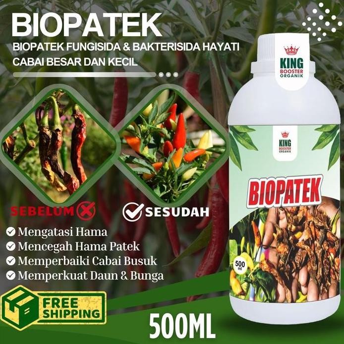 

Terlaris Biopatek 500Ml Fungisida Hayati Obat Hama Penyakit Patek, Daun Keriting, Buah Membusuk Pada Cabe, Cabai Rawit Dan Cabai Besar Tanaman Lainnya Hormon Organik Jamur Merah Padi
