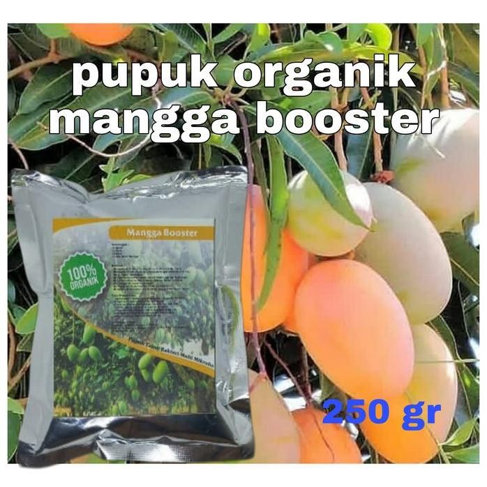 

Terlaris Pupuk Organik Mangga Booster Buah Mangga Pupuk Mangga Serbuk