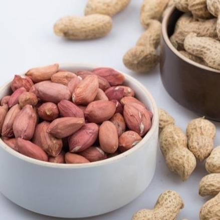 

Kacang Tanah Mentah Super 1 Kg, Kacang Tanah Jumbo Random, Kacang Suuk
