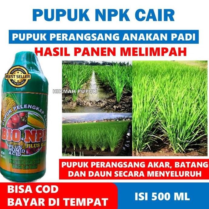 

Terlaris Bio Istiqomah Grow Npk Cair Melebatkan Tanaman Anakan Padi Hasil Panen Melimpah, Obat Semprot Untuk Padi, Pupuk Npk Penyubur Anakan Padi Sawah Isi 500 Ml Original - Pupuk Akar Batang Dan Daun Padi Paling Laris