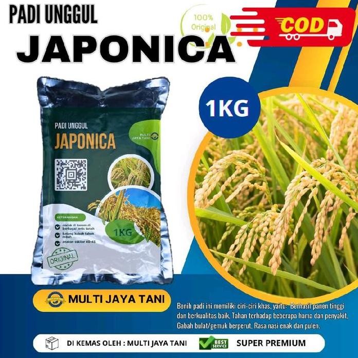 

Terlaris Benih Padi Japonica 1Kg Asli Padi Jepang Kualitas Premium