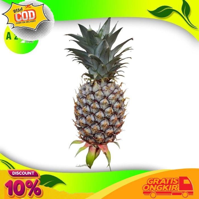 

Diskon Buah Nanas Muda Fres 1 Buah
