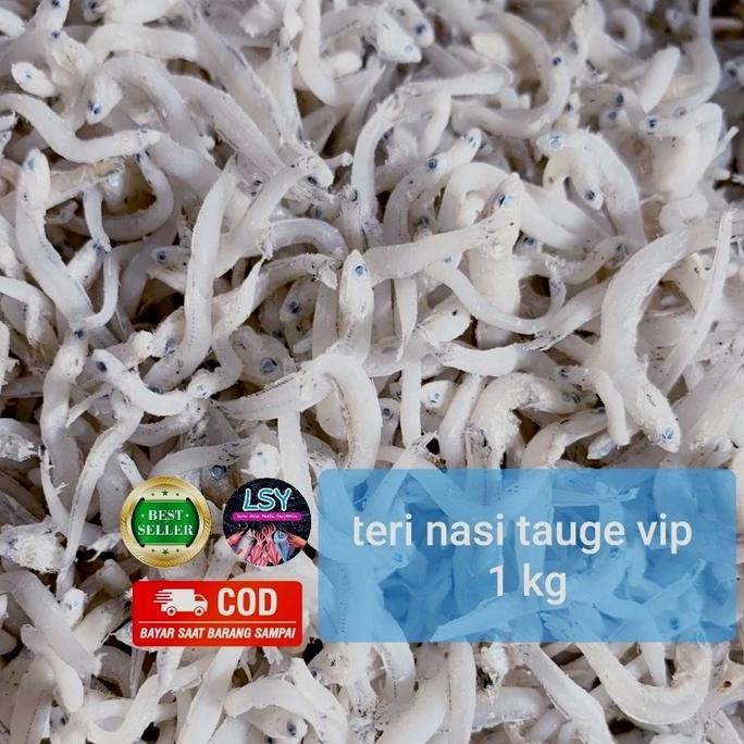 

ikan asin tn tauge vip / teri nasi size jumbo 1kg