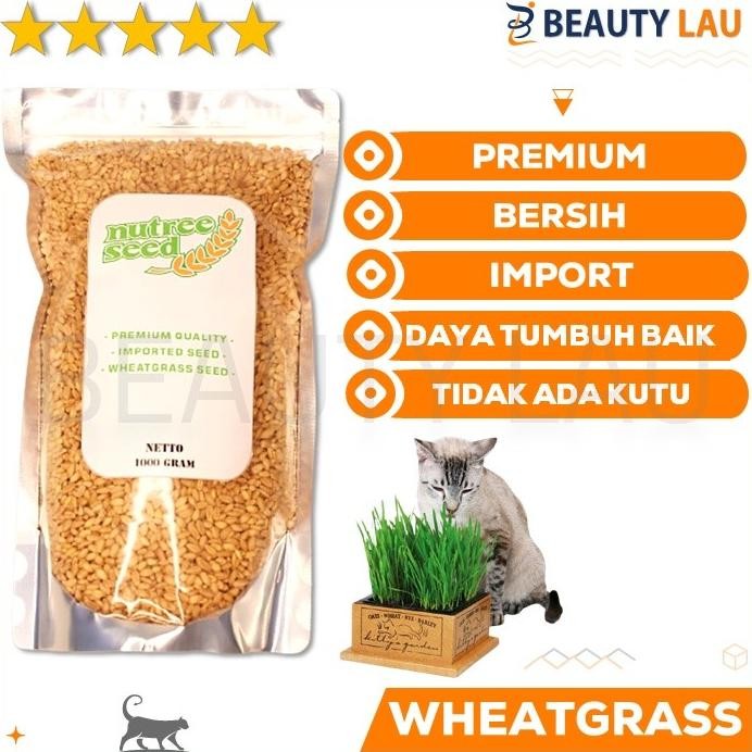 

Terlaris Ready Stock Benih Wheatgrass 1Kg Bibit Rumput Gandum Kucing Microgreen