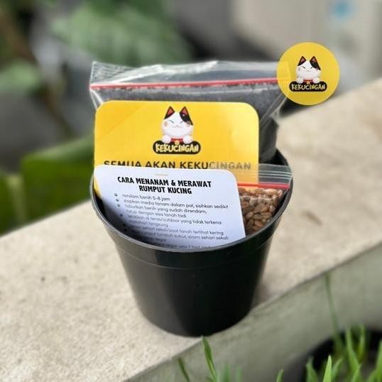 

Terlaris Harmonia- Diy Rumput Kucing / Rumput Gandum Paket Lengkap Pot/Media/Benih 10 Gr