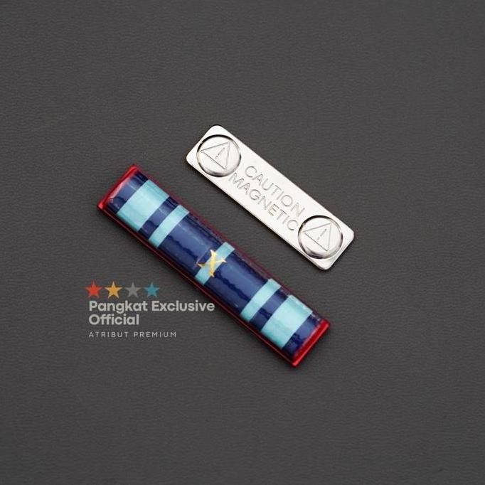 Pin Satya Lencana Asn 10 Tahun Pita Jasa Asn 10 Tahun Bros Bros New Stok