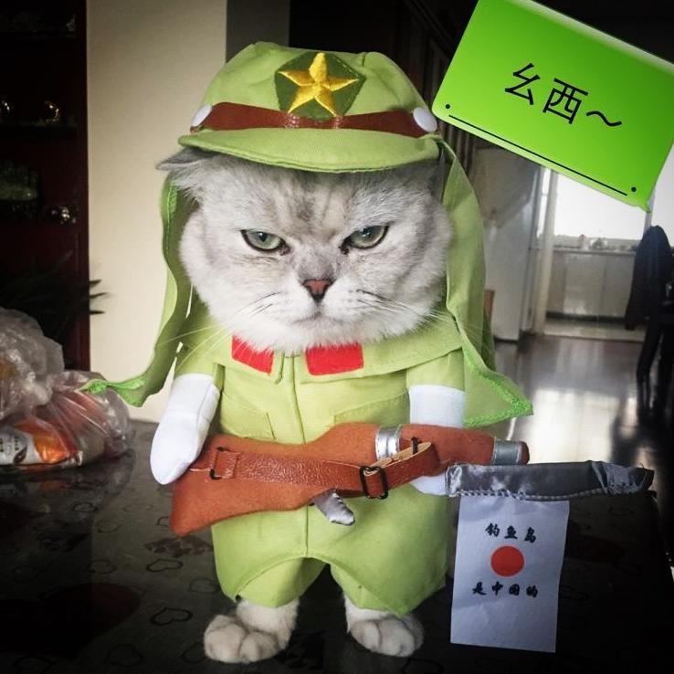 Ready Kostum Militer - Baju Hewan Kucing Anjing Policeman Unik Lucu Militer Korea