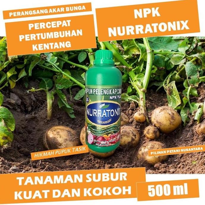 

Terlaris Paling Laris Npk Nurratonix Ml Pupuk Untuk Mempercepat Pertumbuhan Kentang - Pupuk Untuk Menghijaukan Daun Kentang Paling Ampuh