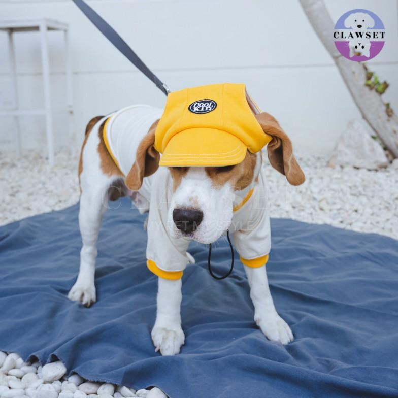 RIMBA-12 Clawset - Pet Accessories - Cool Kid (Topi Hewan Peliharaan) - Yellow (Kuning)