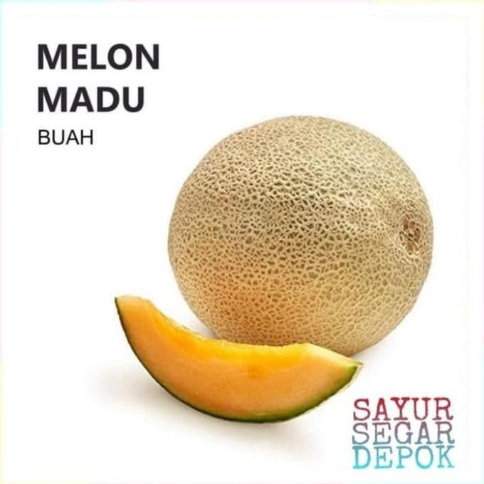 

BARU BUAH MELON MADU