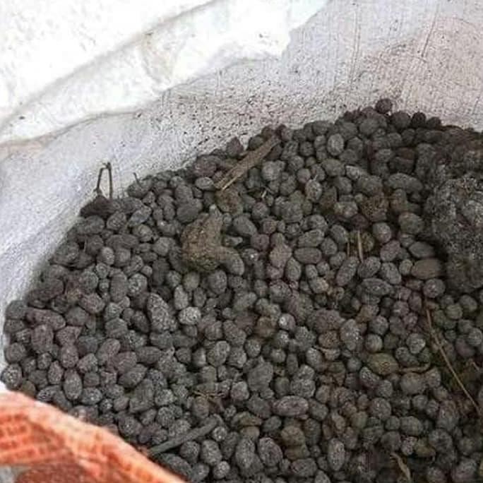 

Terlaris Pupuk Kandang Kambing Murni 1Kg