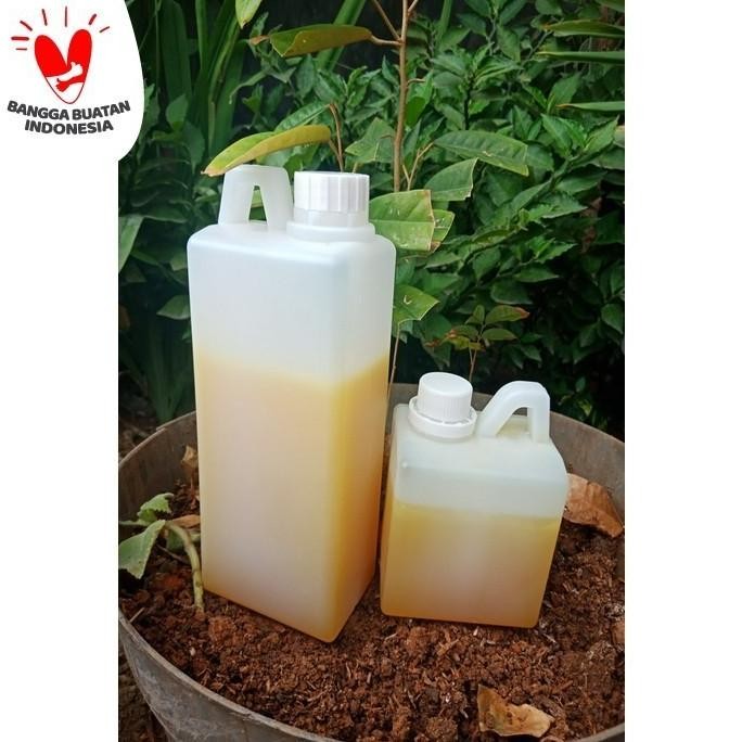 

BARU MADU MURNI MENTAH ASLI KALIANDRA RAW HONEY 1KG
