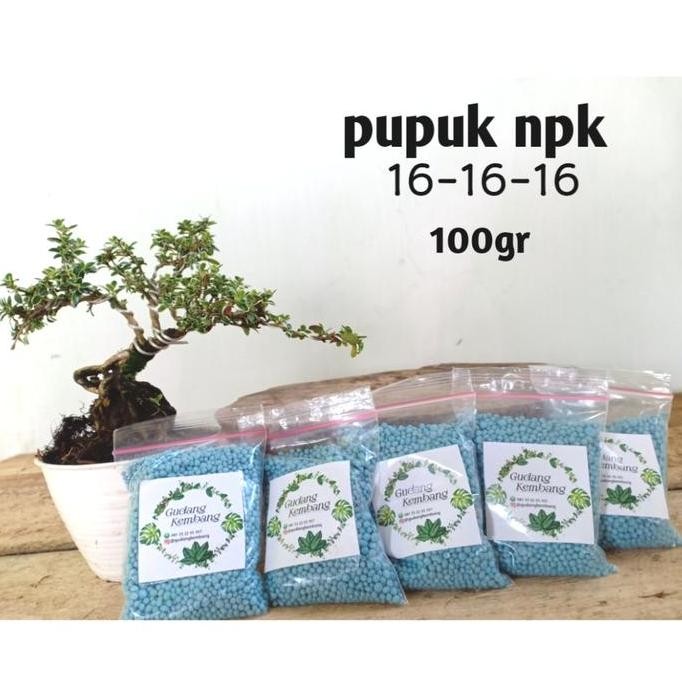 

Terlaris Pupuk Npk 16 16 16