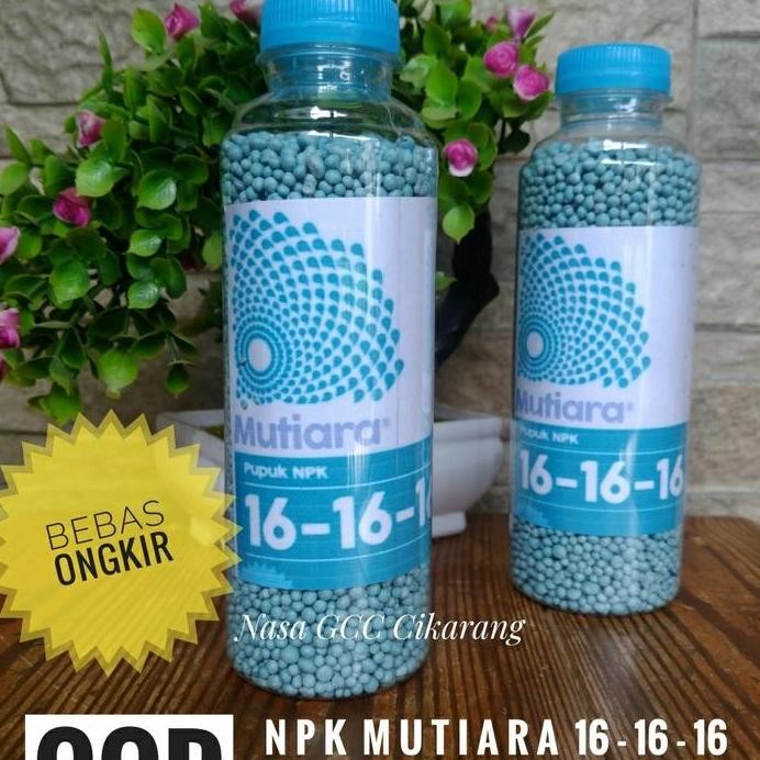 

Terlaris Pupuk Npk 16 16 16 250 Gr