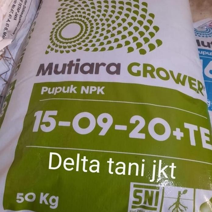 

Terlaris Npk Mutiara Grower Kemasan 50 Kg, Bisa Via Kurir Instan/Ojol