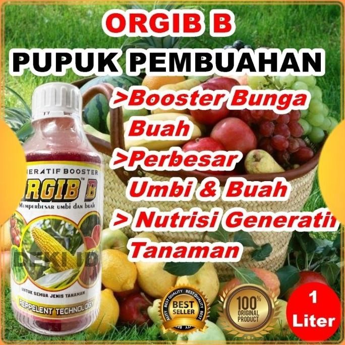 

Terlaris Orgib B Merah 1 Liter Pupuk Masa Pembuahan Npk Cair Booster Buah
