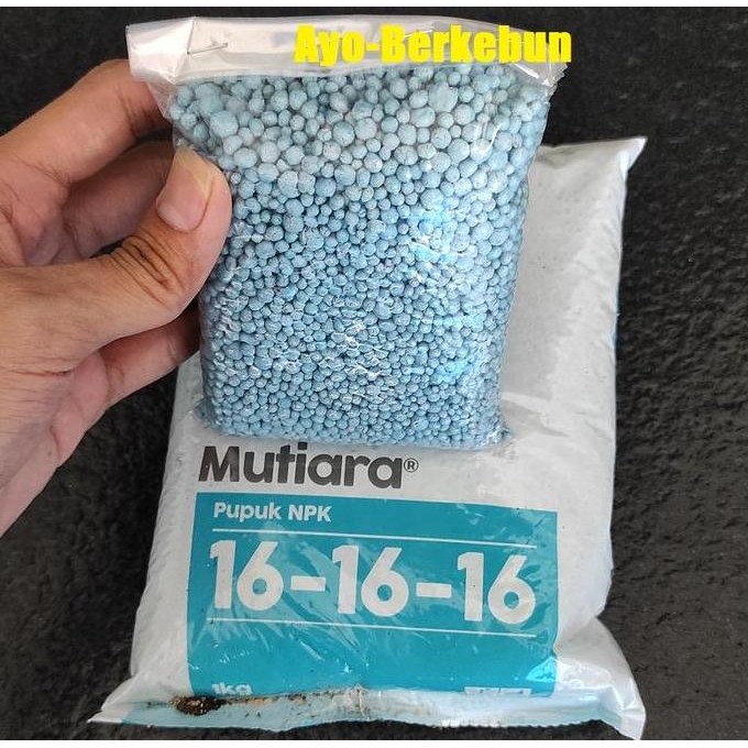 

Terlaris Pupuk Npk Mutiara 16:16:16
