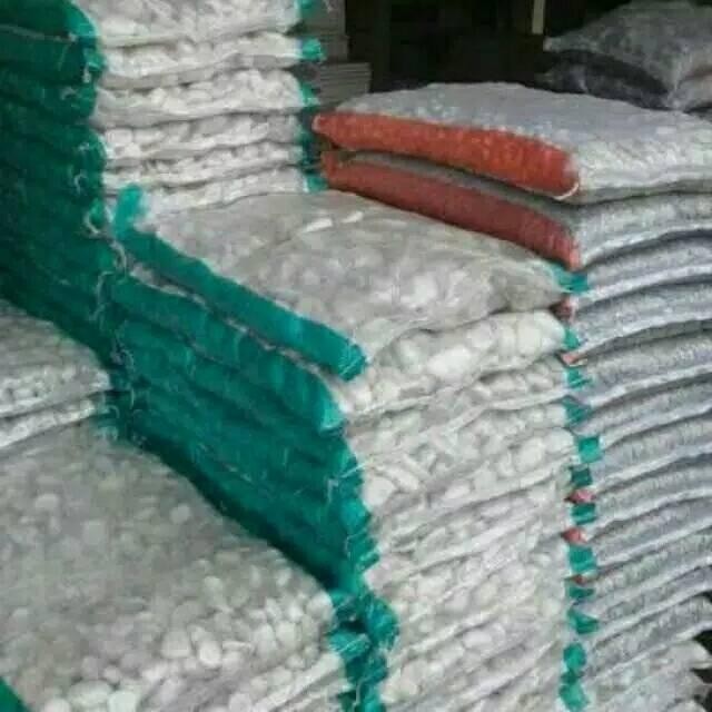 Batu Hias Koral Kupang Abu - Putih - Pancawarna Batu Taman