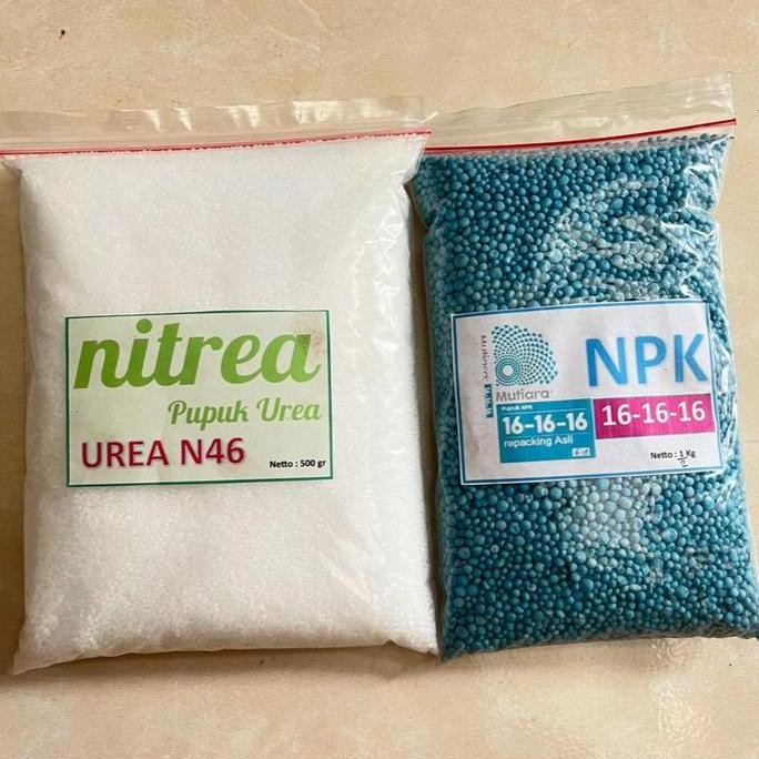 

Terlaris Paket Bundling Murah - Pupuk Urea Dan Npk 16