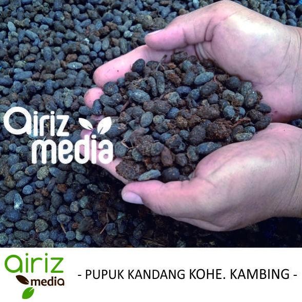 

Terlaris Pupuk Kandang - Kompos Kambing