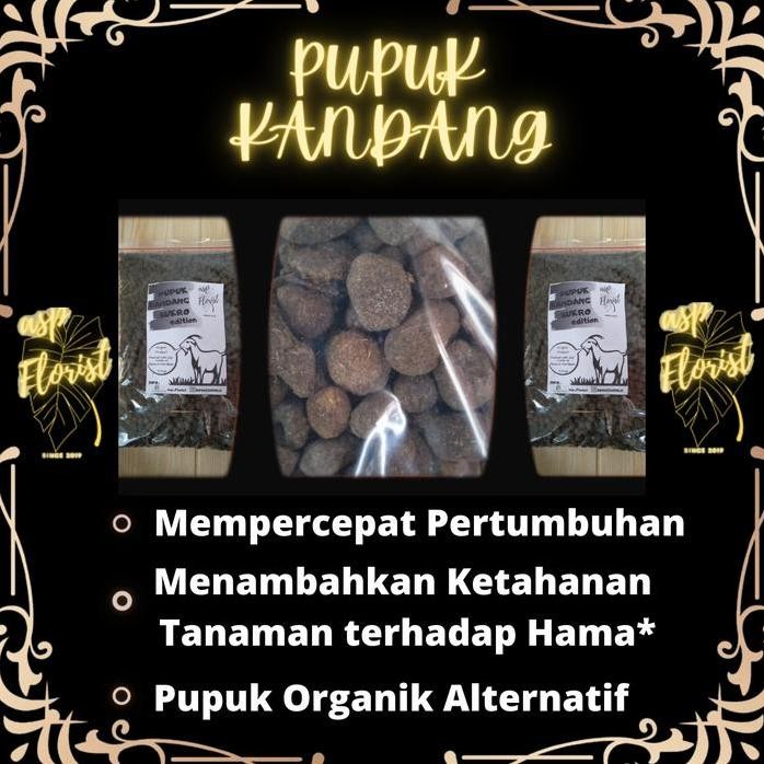 

Terlaris Pupuk Kandang Bulir - Sukro