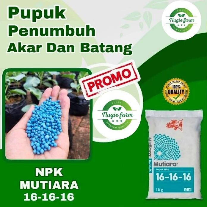 

Terlaris Pupuk Npk Mutiara 16-16-16 Untuk Segala Tanaman Repack 200Gr