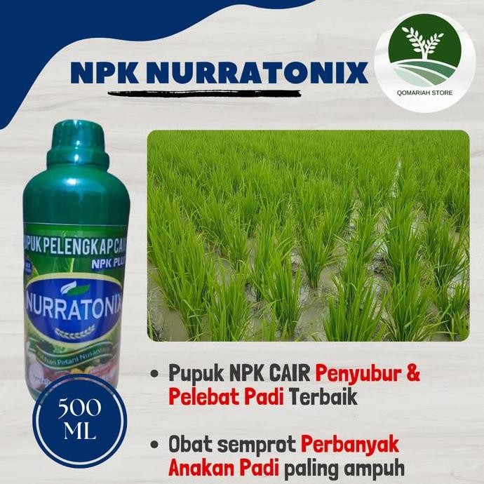 

Terlaris Termurah Npk Nurratonix 500Ml Pupuk Npk Cair Obat Semprot Untuk Mempercepat Pertumbuhan Anakan Padi Terbukti Ampuh
