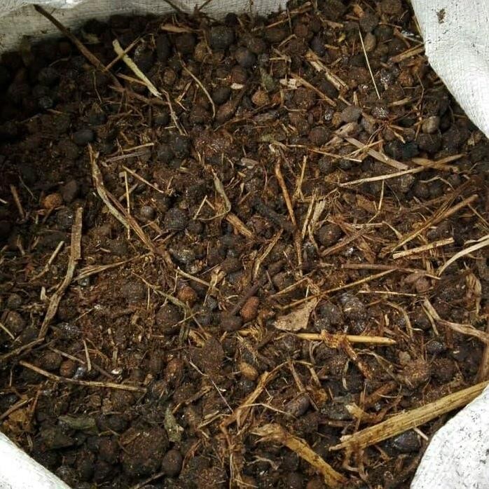 

Terlaris Pupuk Kandang Organik Ukuran 1Kg