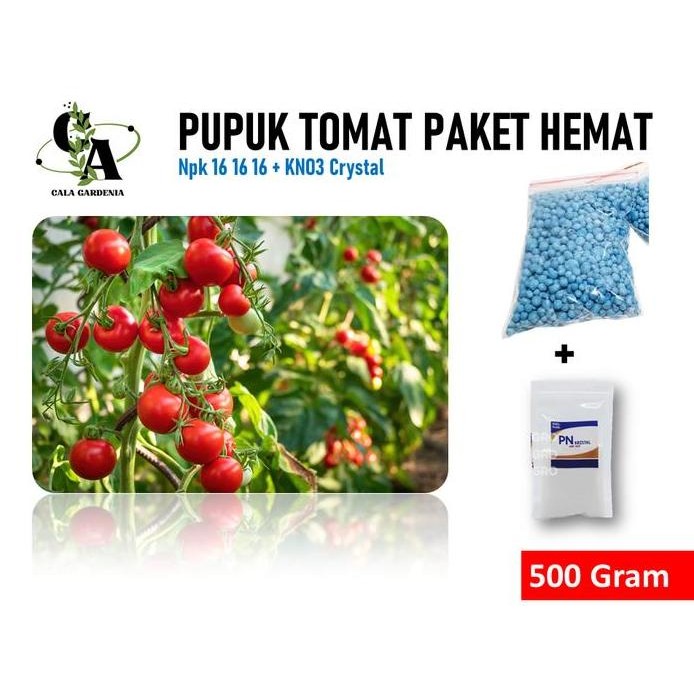 

Terlaris Pupuk Tomat Paket Hemat Termurah Npk 16 16 16 + Kno3 Crystal Original Pelebat Tomat Repack Murah