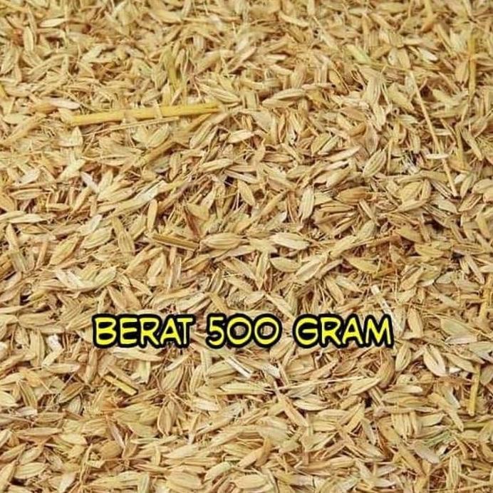 

Terlaris Sekam Mentah Sekam Padi Media Tanam Kulit Padi Kering Kompos 500 Gram