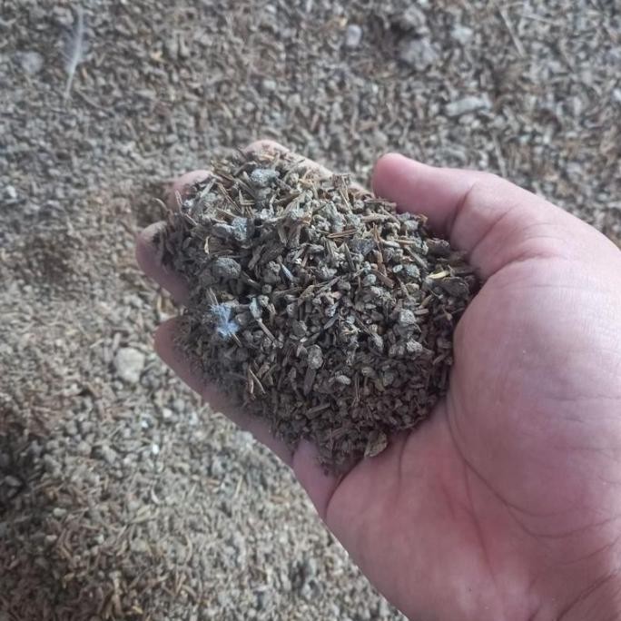 

Terlaris Media Tanam Kompos Pupuk Kandang Kotoran Ayam Kering Campur Sekam Fermentasi Kemasan 1 Kg