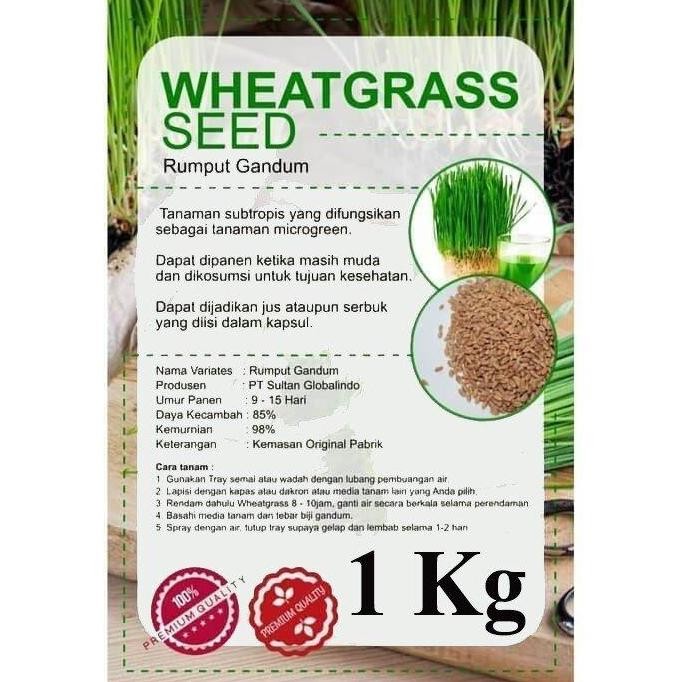 

Terlaris Benih Bibit Biji Rumput Kucing / Rumput Gandum / Wheat Grass 1 Kg