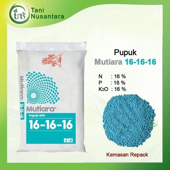 

Terlaris Pupuk Tanaman Meroke Npk Mutiara 16-16-16 Kemasan 1Kg