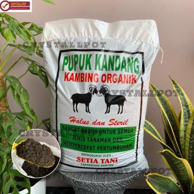 

Terlaris Pupuk Kandang Kambing Organik Halus Dan Steril Mempercepat Pertumbuhan