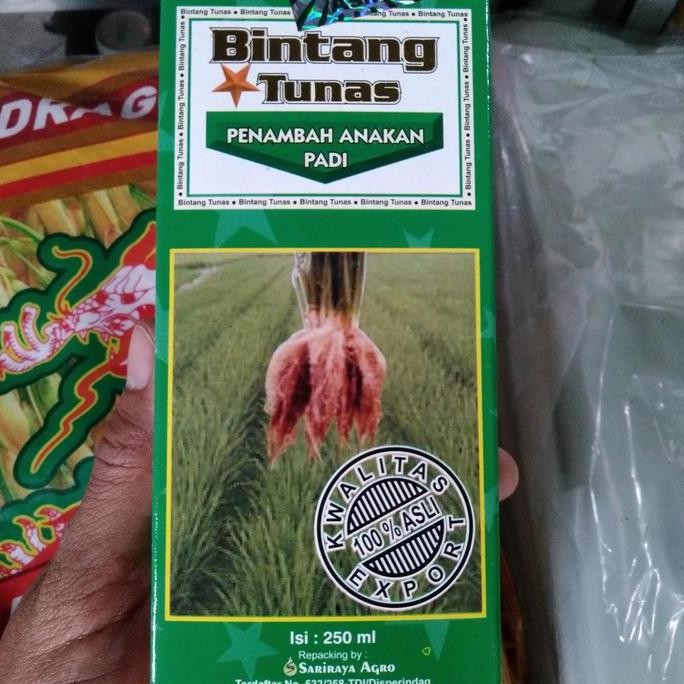 

Terlaris Bintang Tunas Penambah Anakan Padi