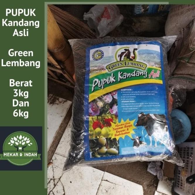 

Terlaris Pupuk Kandang Green Lembang 3-6 Kg / Media Tanam Green Lembang