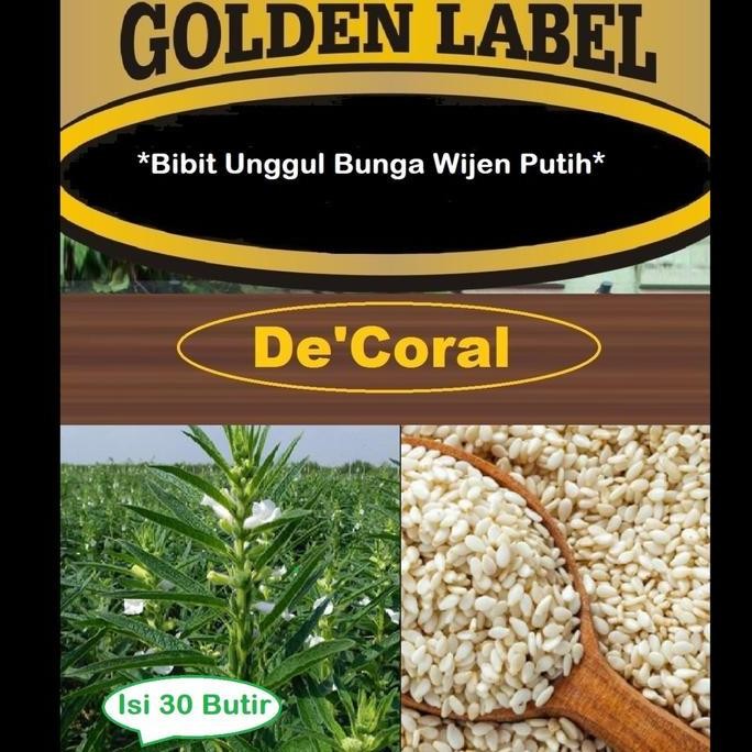 

Terlaris Bibit Unggul Bunga Wijen Putih | Benih Bunga Wijen Putih | Wijen Putih