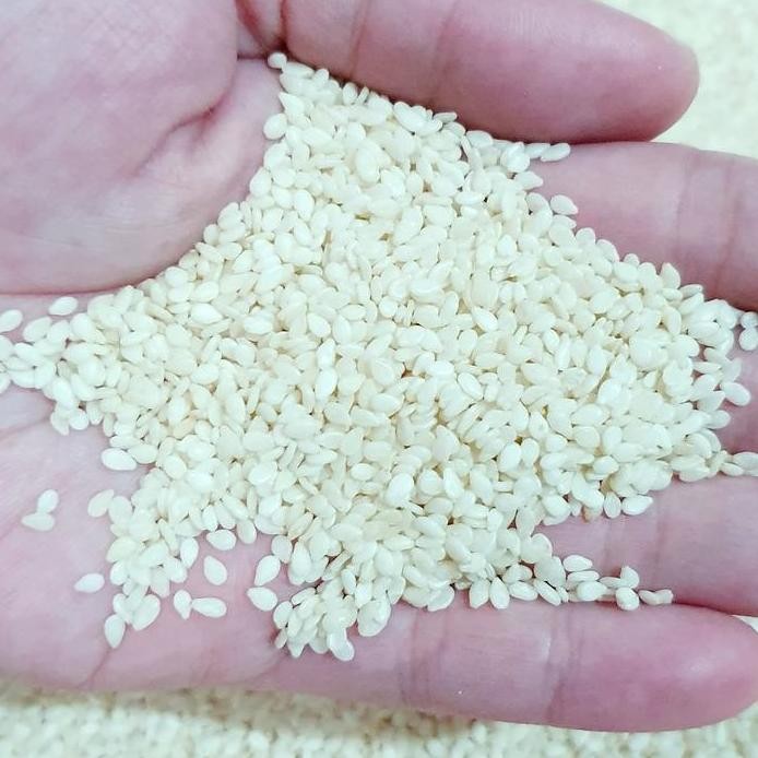 

Terlaris Biji Wijen - 100 Gr