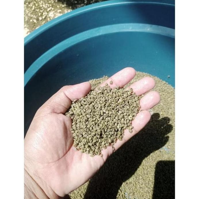 

Terlaris Kulit Kacang Hijau Kering Murah