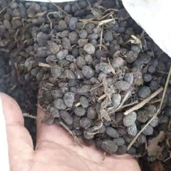 

Terlaris Media Tanaman Pupuk Kandang Kotoran Hewan (Kambing). Murni 1Kg