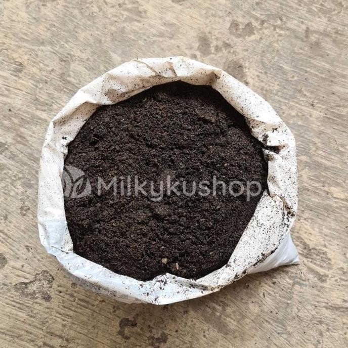 

Terlaris New Pupuk Kandang Sapi Em4 Guano Ks Kecil Organik Via Gosend Grab Terlaris